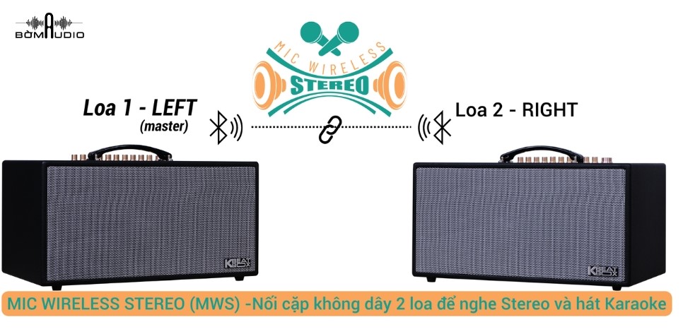 Tính năng MIC wireless stereo (MWS)