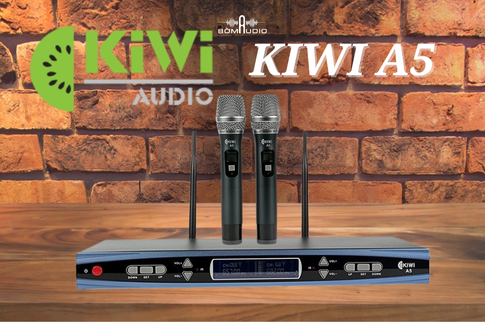 Micro Karaoke KIWI A5