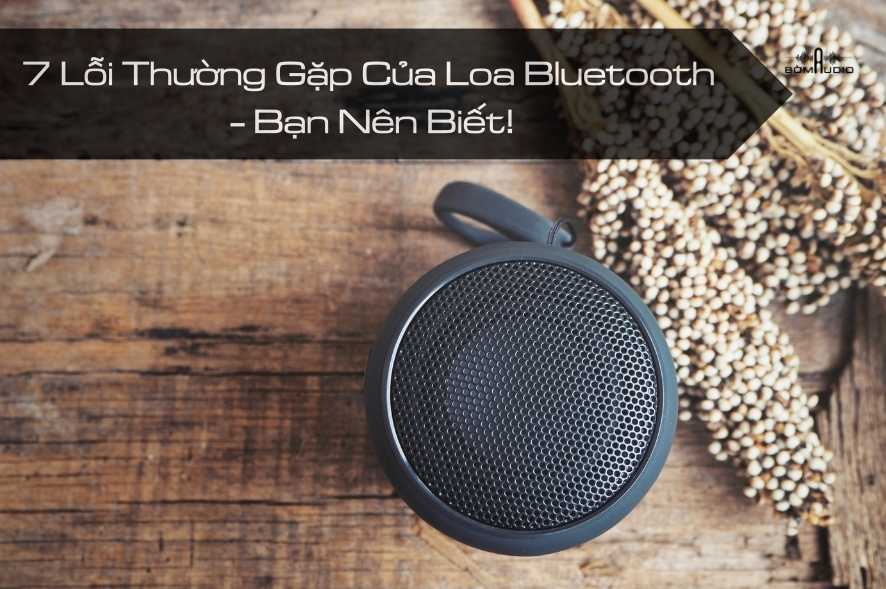 7 Lỗi Thường Gặp Của Loa Bluetooth - Bạn Nên Biết!