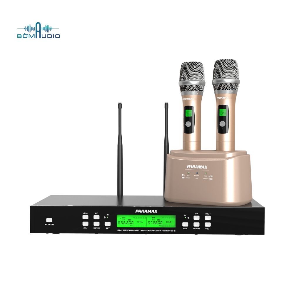 PARAMAX SM-2500 SMART (1)
