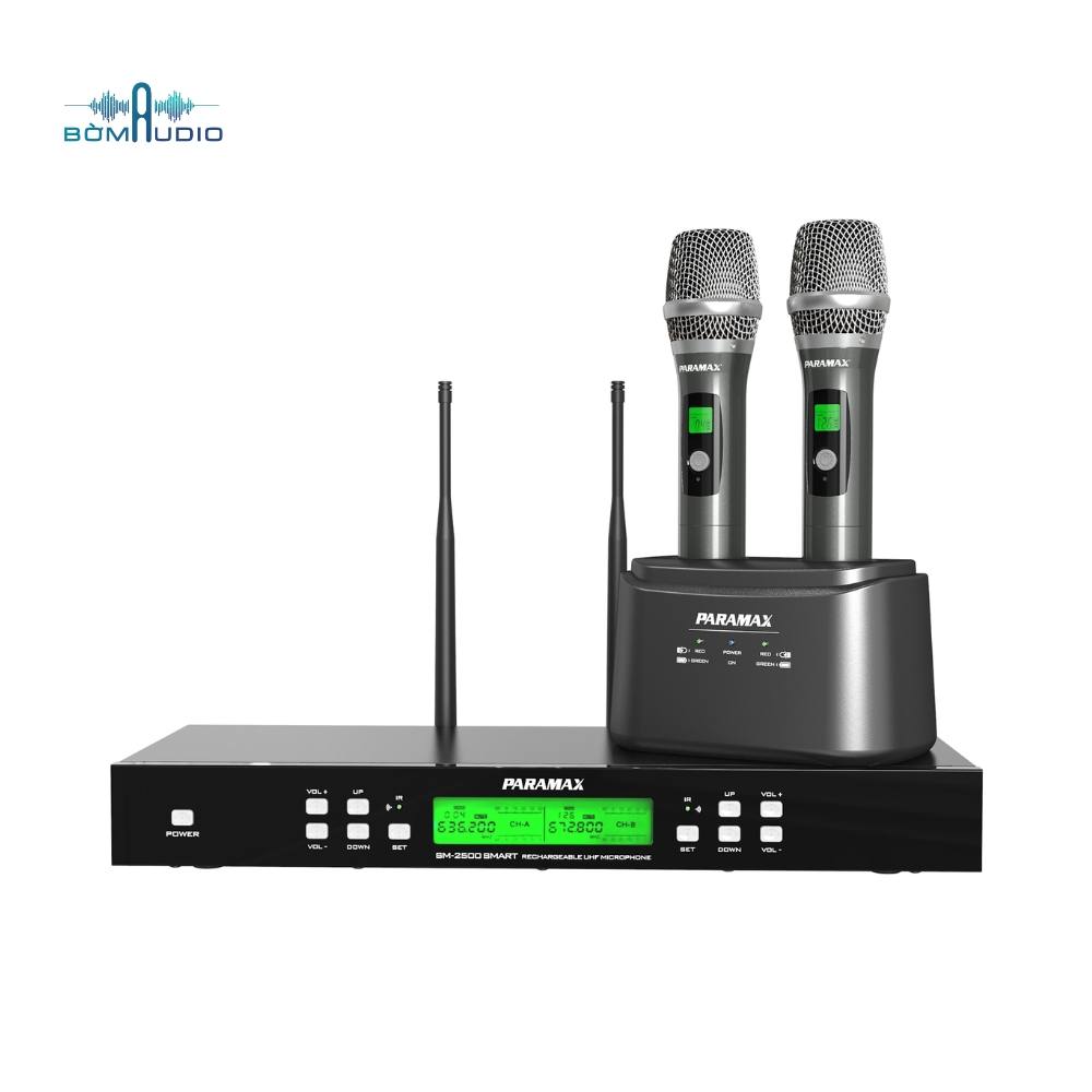 PARAMAX SM-2500 SMART (2)