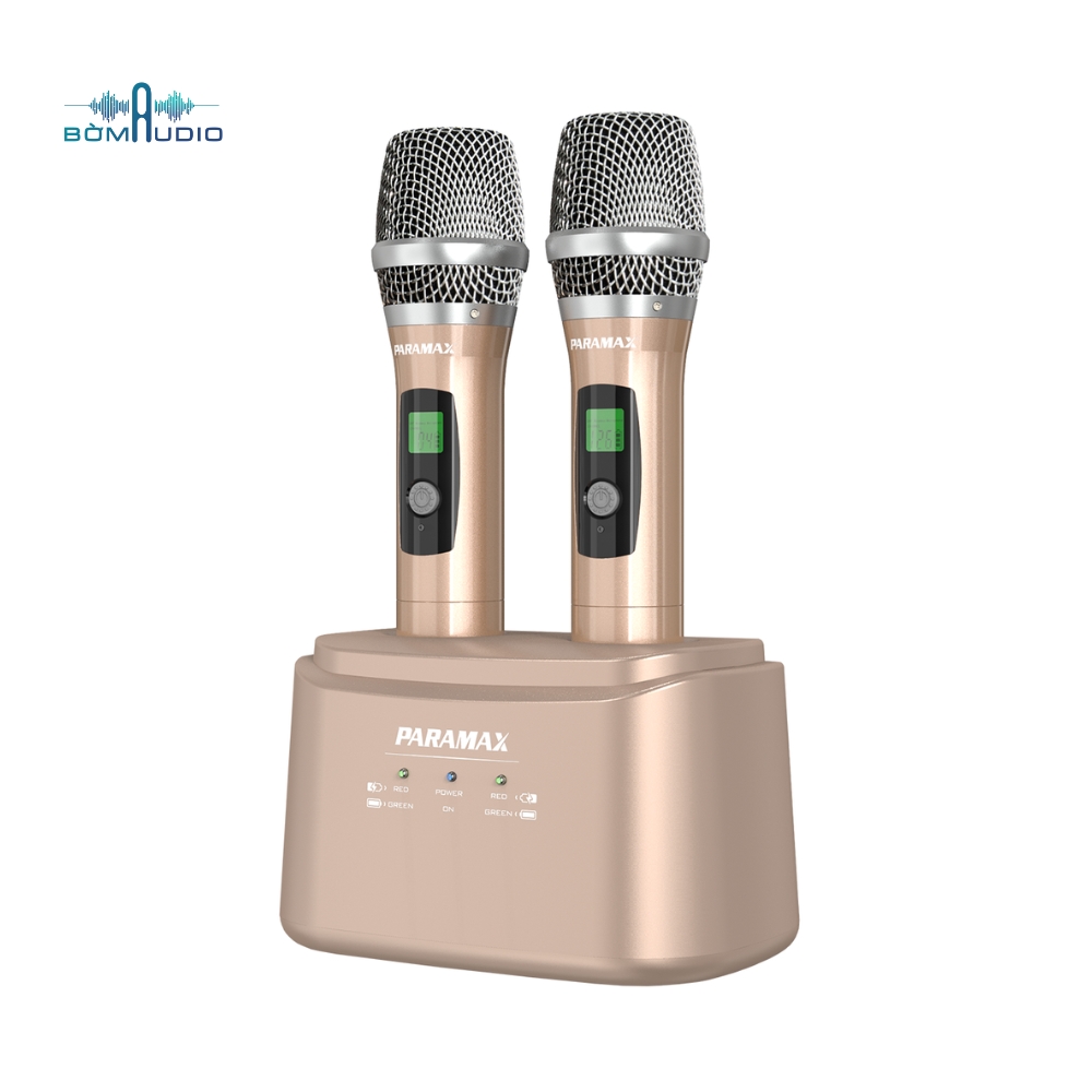 PARAMAX SM-2500 SMART (7)